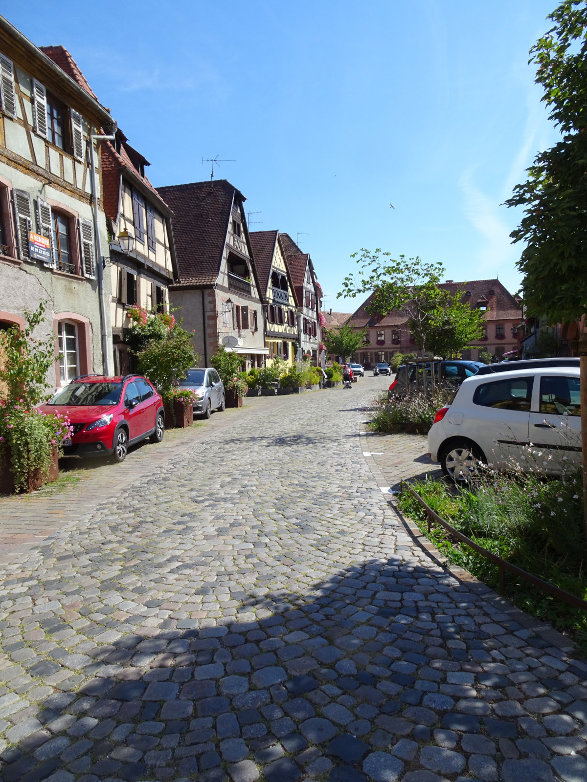 Queues de paon en galets cassés anciens de la place Walter à Bergheim. (Collaboration TP Schmitt Thierry)