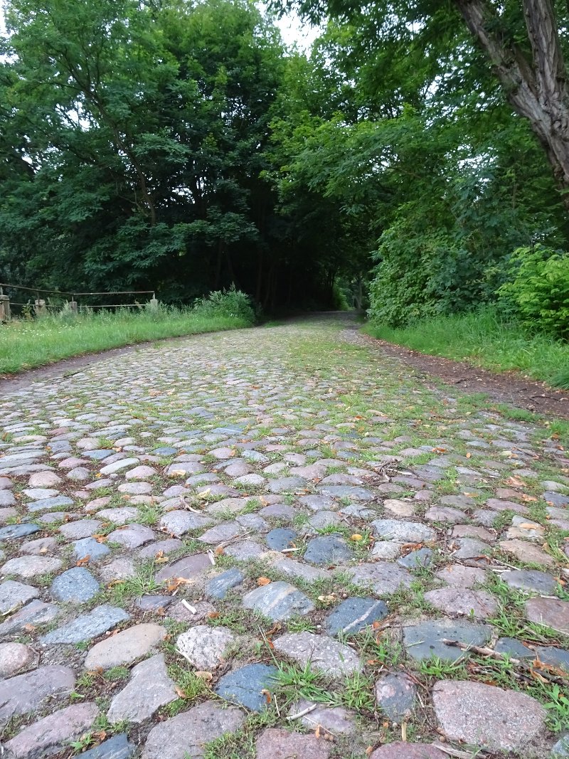 chemin pavés de pierres lisses et irreguliere