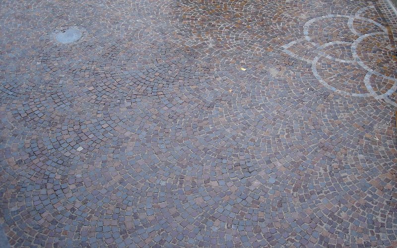 queue-de-paon-de-paves-porphyre-et-rosace